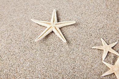 潜行变枪战！IOI确认《007：曙光》战斗系统革新